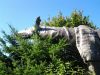 20110915_103315.jpg