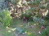 20110915_103358.jpg