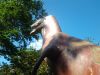20110915_104715.jpg