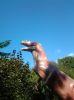 20110915_104729.jpg