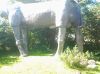 20110915_105114.jpg