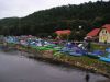 Filename=p1010199.jpg
Filesize=91KB
Dimensions=640x480
Date added=Jul 17, 2008 p1010199.jpg