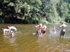 Filename=DSC00687.JPG
Filesize=102KB
Dimensions=640x480
Date added=Jul 16, 2008 DSC00687.JPG