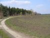 Filename=P1000070.JPG
Filesize=89KB
Dimensions=800x600
Date added=May 13, 2007 P1000070.JPG