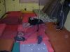 Filename=PICT0015~3.JPG
Filesize=52KB
Dimensions=640x480
Date added=May 14, 2007 PICT0015~3.JPG