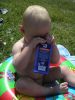 Filename=PICT0029.JPG
Filesize=42KB
Dimensions=480x640
Date added=May 13, 2007 PICT0029.JPG
