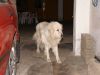 Filename=PICT0099~0.JPG
Filesize=50KB
Dimensions=640x480
Date added=May 14, 2007 PICT0099~0.JPG