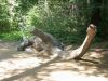 Filename=PICT5727.JPG
Filesize=100KB
Dimensions=575x432
Date added=Jul 15, 2007 PICT5727.JPG